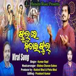 Jhul Re NitaIi Jhul Kumar Bapi